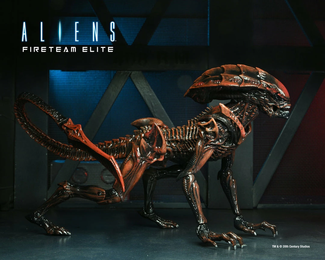 Alien - 7" Scale Action Figure - Prowler - Aliens Fireteam Elite - NECA Collectibles Letter A Costumes 4 Alien - 7" Scale Action Figure - Prowler - Aliens Fireteam Elite - NECA Collectibles Letter A Costumes