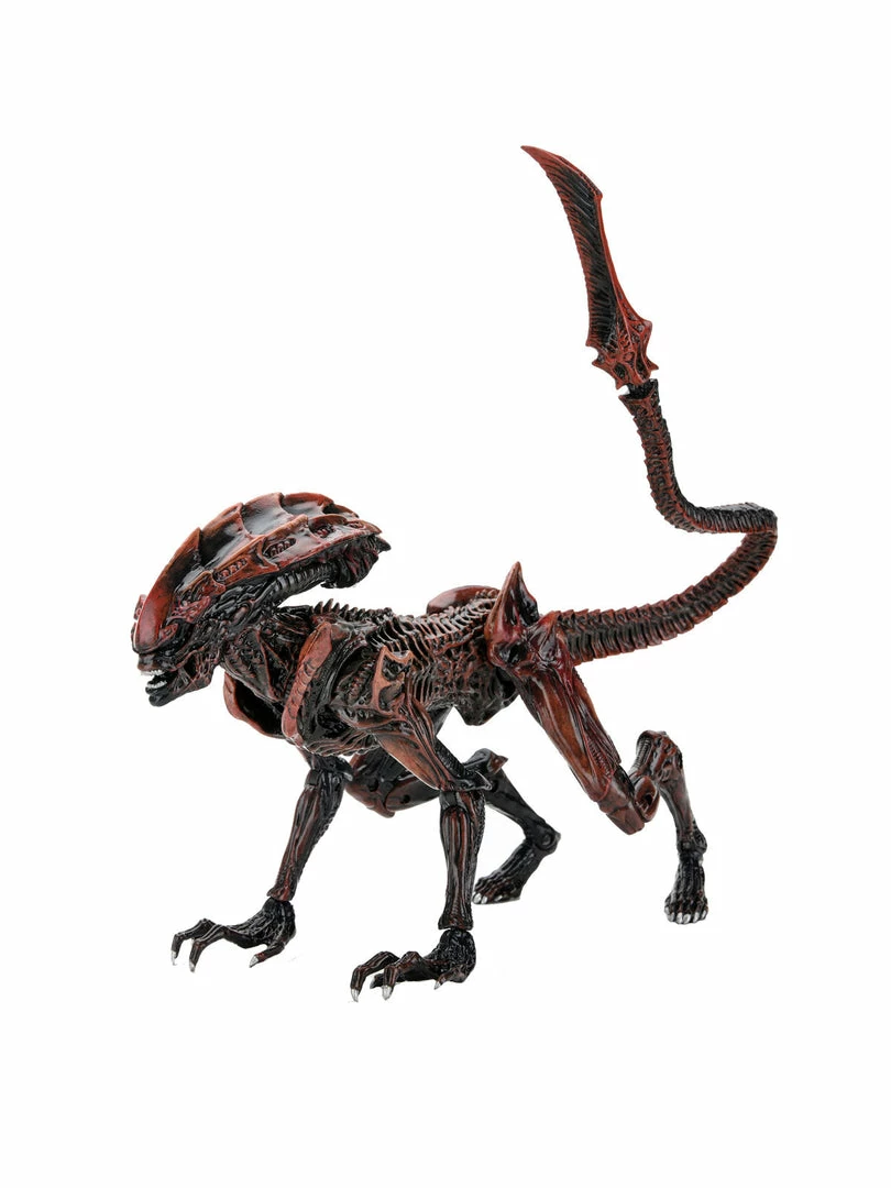 Alien - 7" Scale Action Figure - Prowler - Aliens Fireteam Elite - NECA Collectibles Letter A Costumes 3 Alien - 7" Scale Action Figure - Prowler - Aliens Fireteam Elite - NECA Collectibles Letter A Costumes