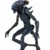 Letter A Costumes Alien Vs Predator 7" Scale Action Figures – Arachnoid Alien (Movie Deco) - NECA Collectibles