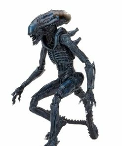 Letter A Costumes Alien Vs Predator 7" Scale Action Figures – Arachnoid Alien (Movie Deco) - NECA Collectibles