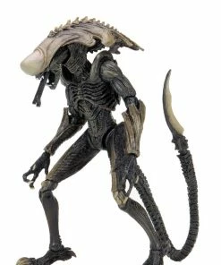 Letter A Costumes Alien Vs Predator 7" Scale Action Figures – Chrysalis Alien (Movie Deco) - NECA Collectibles