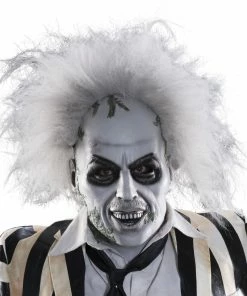 Rubie's Shop All Adult Costumes Beetlejuice Overhead Mask With Hair For Adults - Warner Bros Beetlejuice
