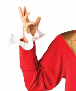 Rubie's Captain Hook Costume For Adults - Disney Peter Pan Mens