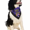 Rubie's Pets Does Tricks For Treats Pet Bandana