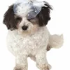 Rubie's Fancy Formal Pet Fascinator