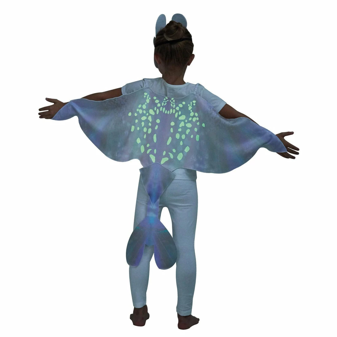 Rubie's Light Fury Glow In The Dark Accessory Set For Kids - Universal How To Train Your Dragon 5 Rubie's Light Fury Glow In The Dark Accessory Set For Kids - Universal How To Train Your Dragon