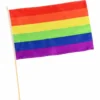 Rubie's Mardi Gras Pride Rainbow Flag