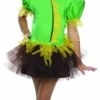 Rubie's Girls Scarecrow Tutu Costume For Kids - Warner Bros The Wizard Of Oz