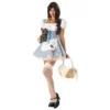 California Costume Collections Storybook Sweetheart Costume For Adults