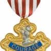 Rubie's Book Week The Wizard Of OZ - Cowardly Lion's Badge Of Courage
