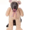 Rubie's Walking Teddy Bear Big Dogs Pet Costume
