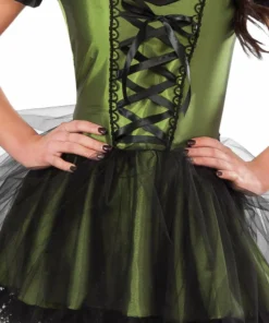 Rubie's Wicked Witch Of The West Costume For Adults - Warner Bros The Wizard Of Oz Womens