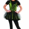 Rubie's Wicked Witch Of The West Costume For Adults - Warner Bros The Wizard Of Oz Womens