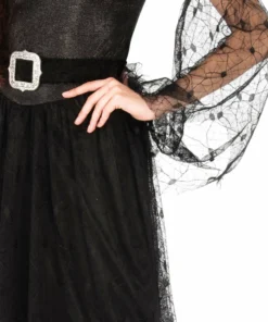 Rubie's Witch Of Darkness Costume For Adults Womens