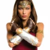 Rubie's Womens Wonder Woman Deluxe Accessory Set For Adults - Warner Bros Wonder Woman