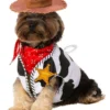 Rubie's Woody Accessory Set For Pets - Disney Pixar Toy Story 1 Rubie's Woody Accessory Set For Pets - Disney Pixar Toy Story